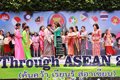 IS through ASEAN 20140636